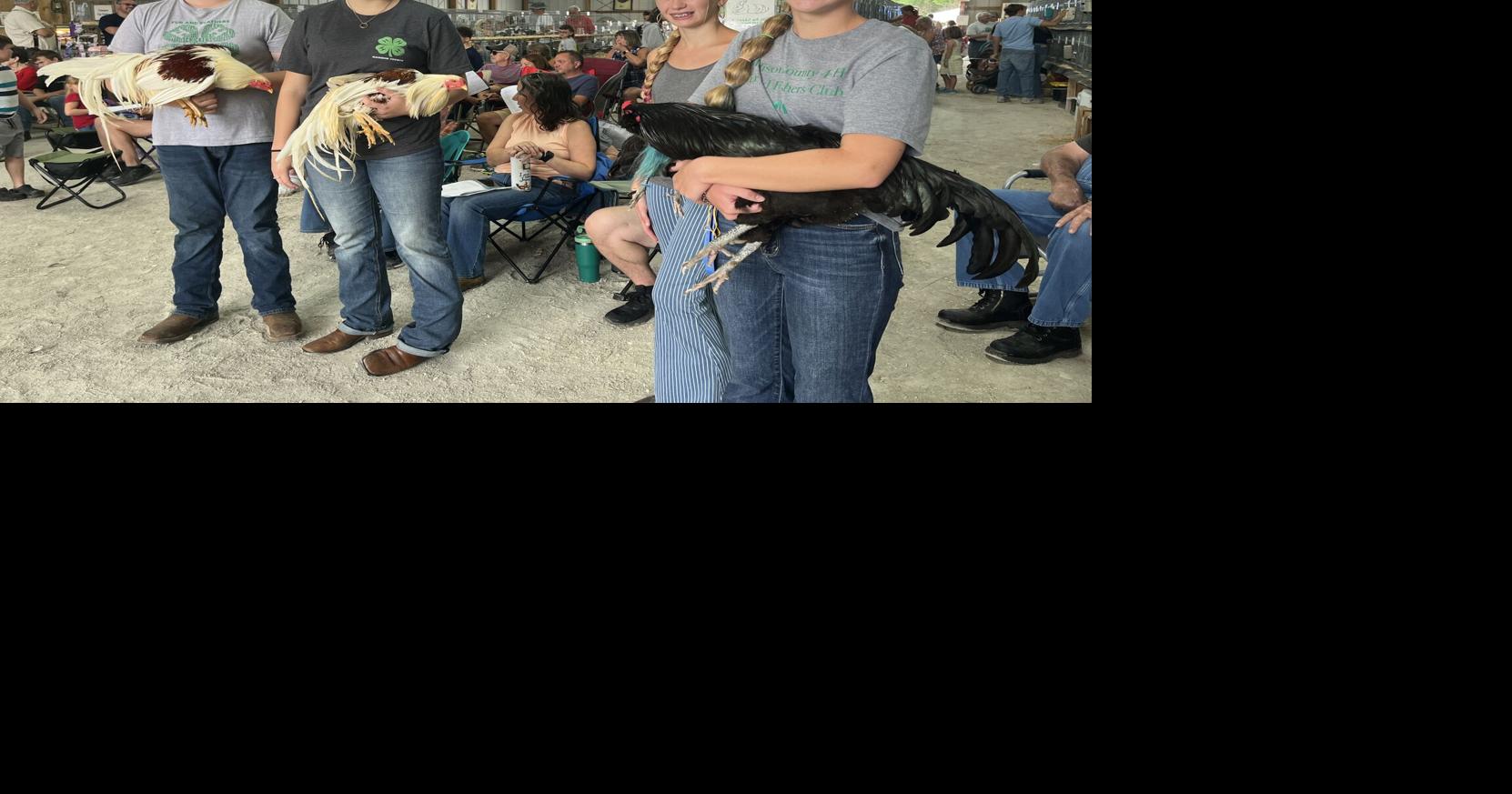 Madison County 4-H Fair begins with poultry show