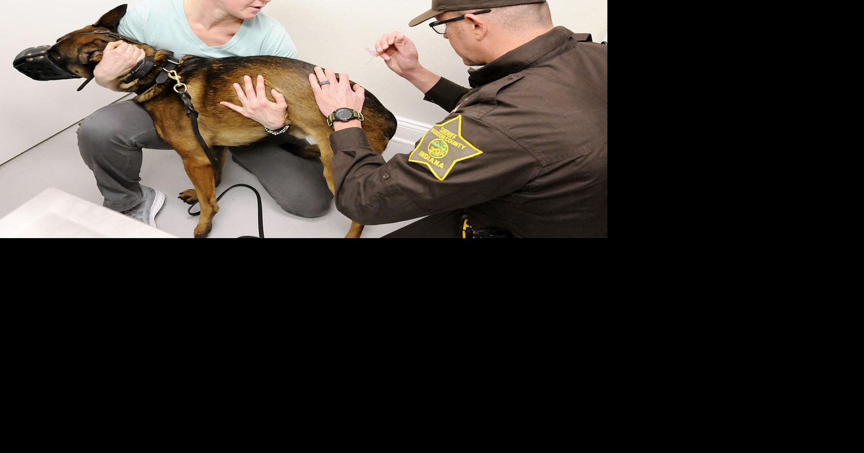 Community Hospital, Chesterfield Animal Hospital host Narcan training