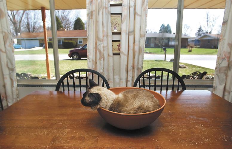 Millcreek Drive A safe place where everyone knows each other Local News