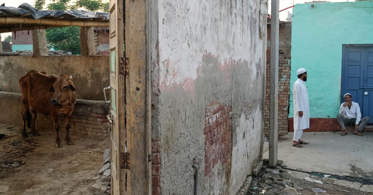 Police Graduation Paper In India, police shootings of alleged cow smugglers raise alarm about ...