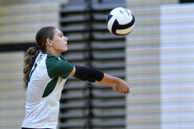 PHOTOS Pendleton Heights Volleyball at Lapel Gallery