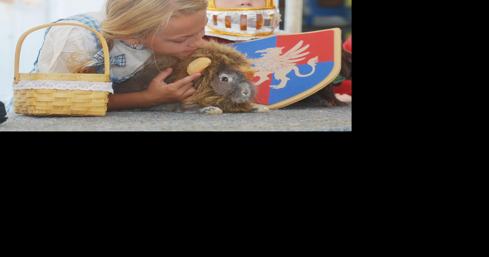 Rabbit contest produces 'out-of-this-world' costumes at youth fair ...