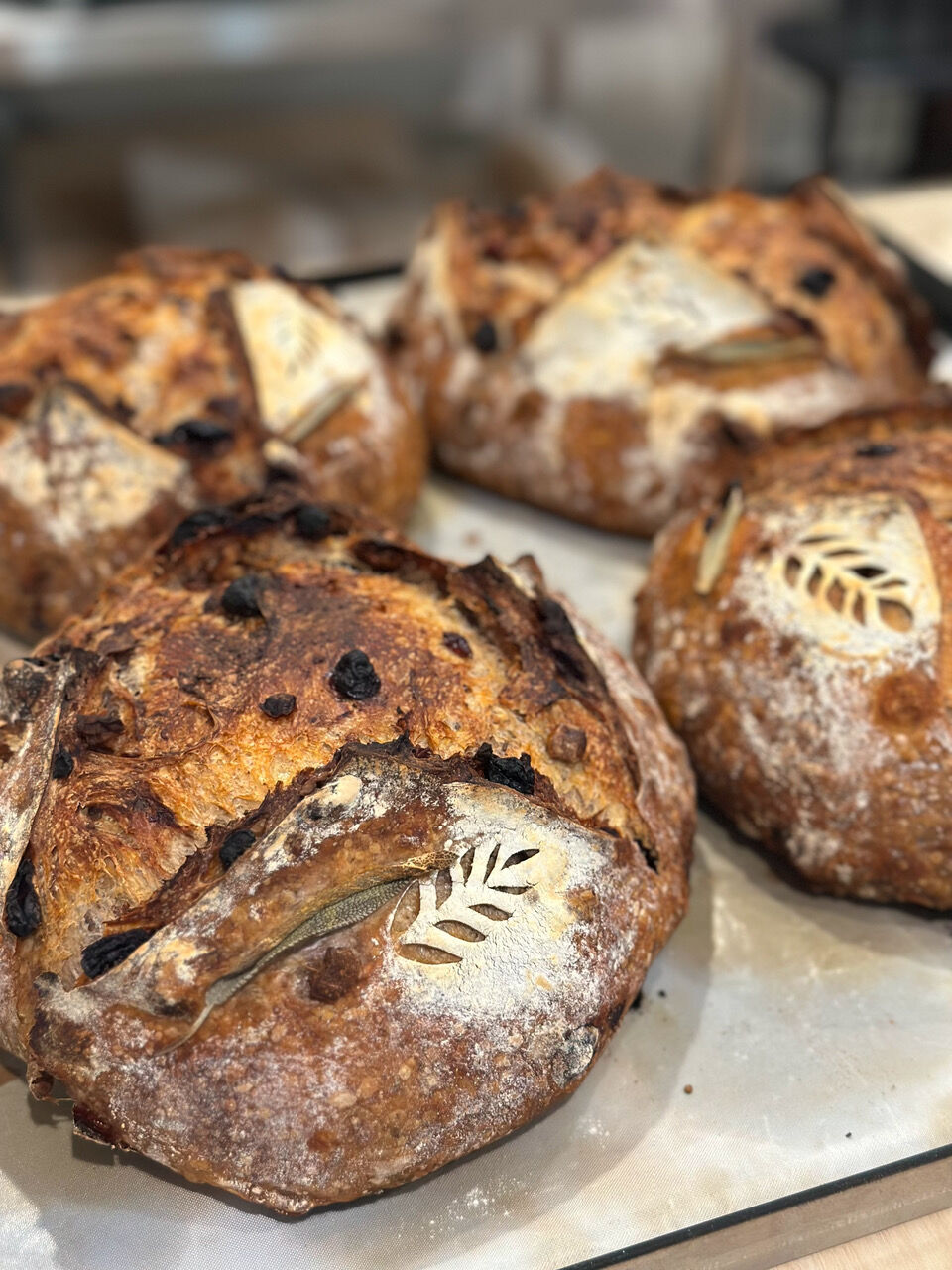 Flowered Sourdough Bakehouse offers fresh organic breads, cookies