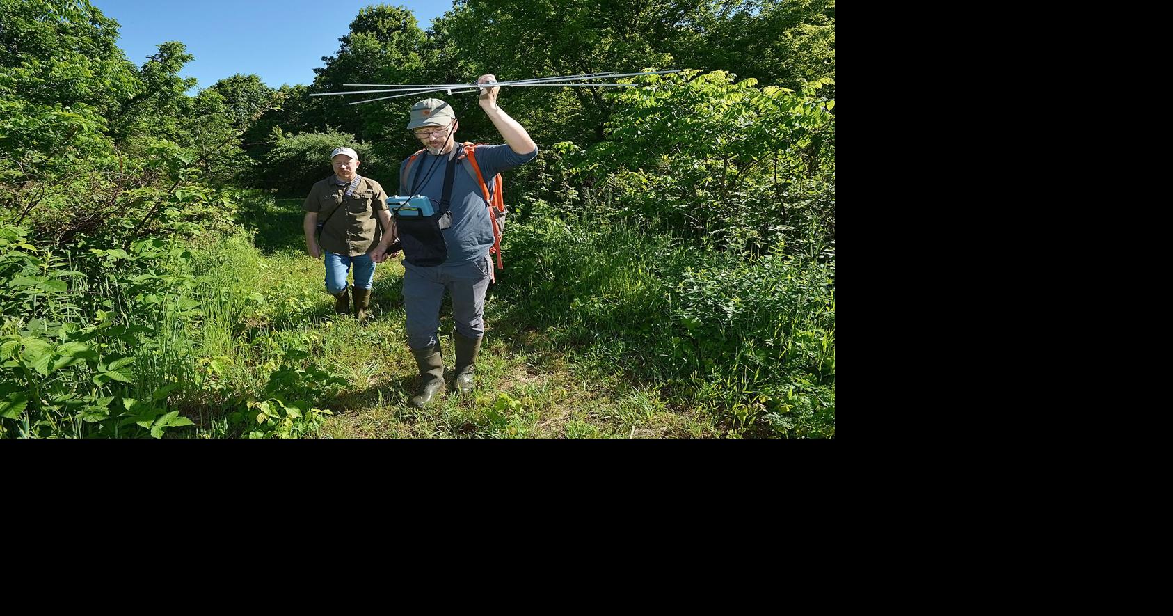 Sarett Nature Center research focuses on large turtle population, nests