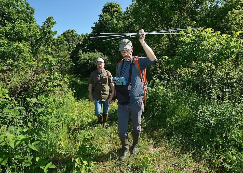 Sarett Nature Center research focuses on large turtle population, nests
