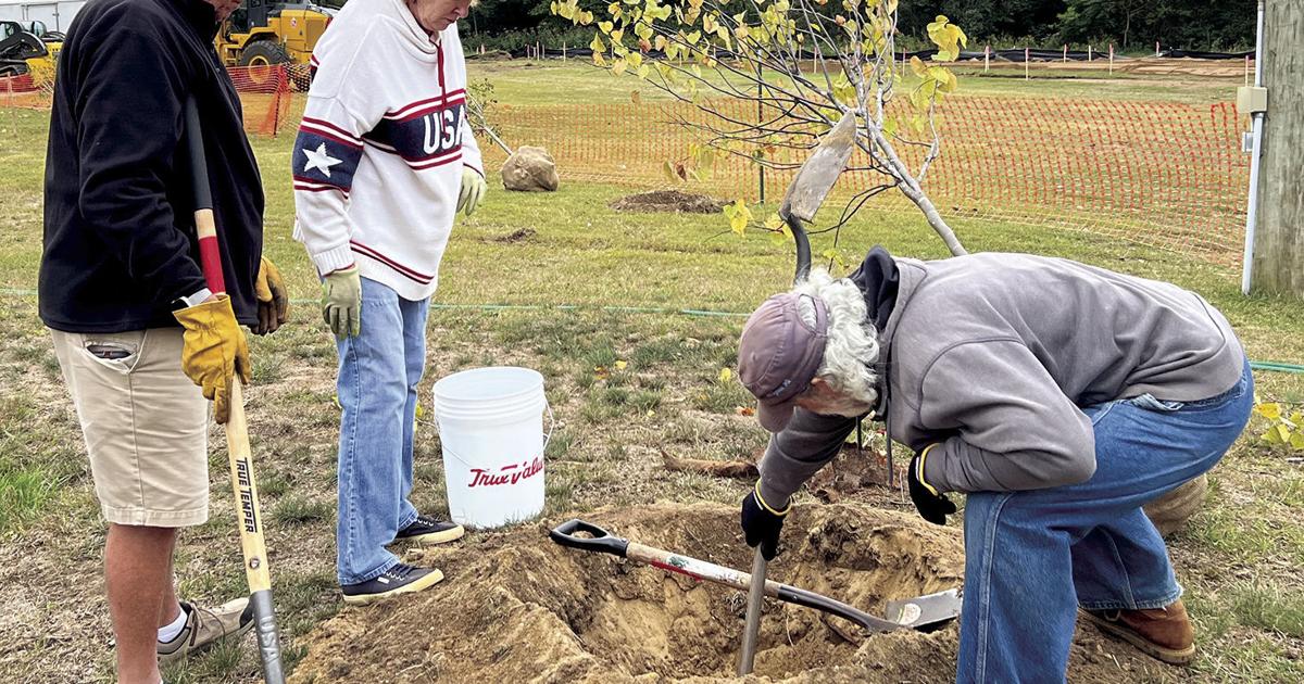 Harbert Tree Plantapalooza adds 20 trees to Harbert Community Park | News ...