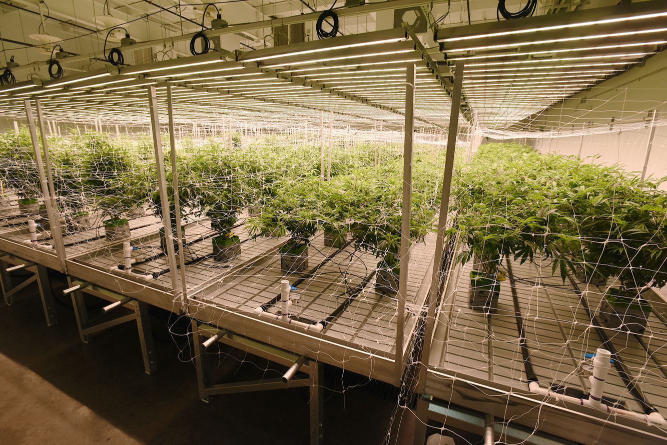 NOBO dispensary to open fourth location Friday in Benton Harbor