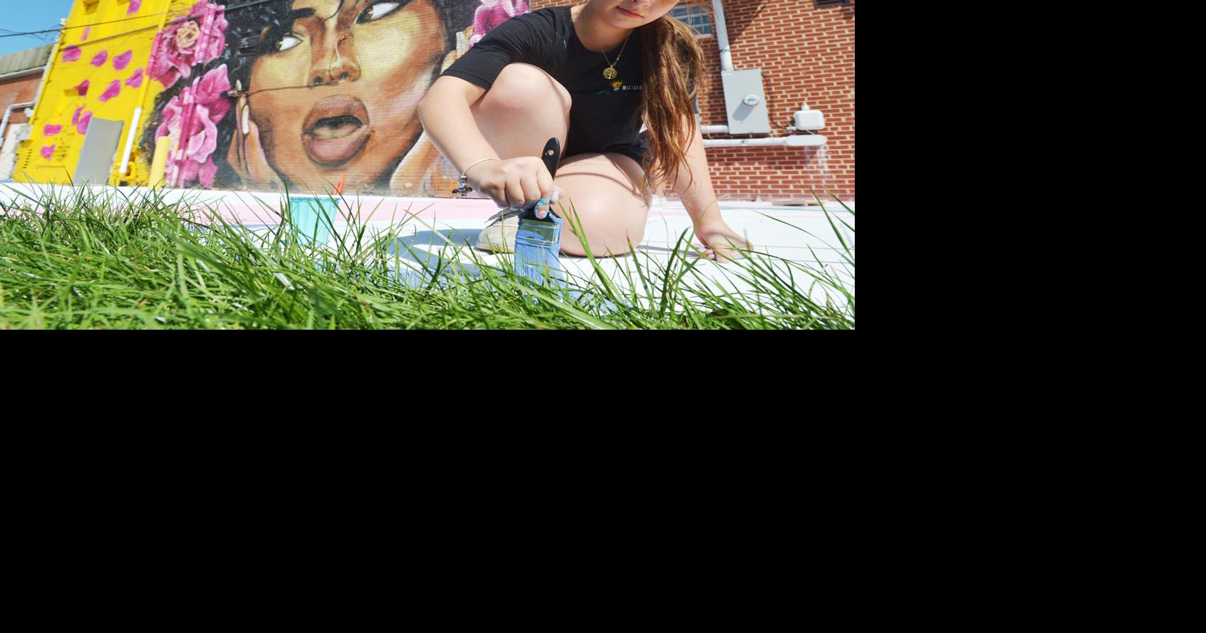 Southwestern Michigan Tourist council unveils mural challenge