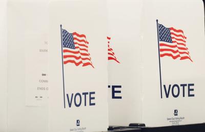 voting 2014.jpg