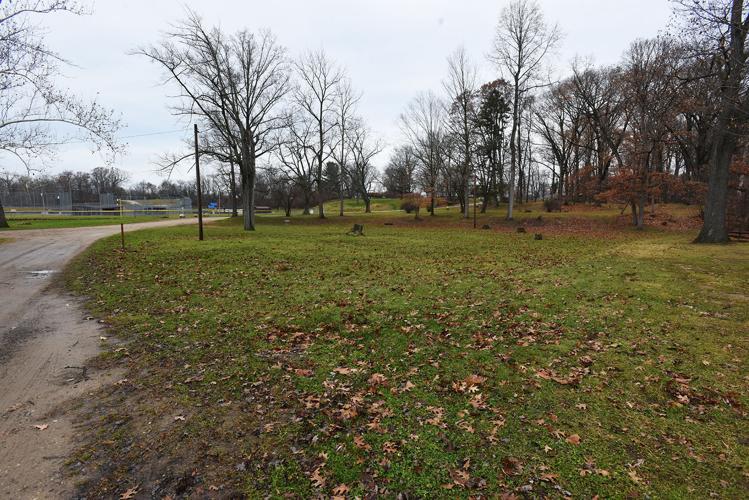 Watervliet secures 71,000 grant for dog park Watervliet