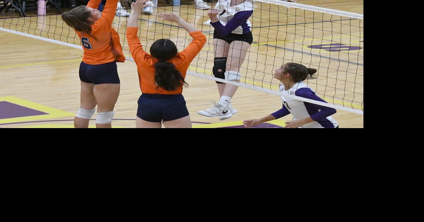 South Haven hosts Division 3 volleyball district tournament | Sports ...