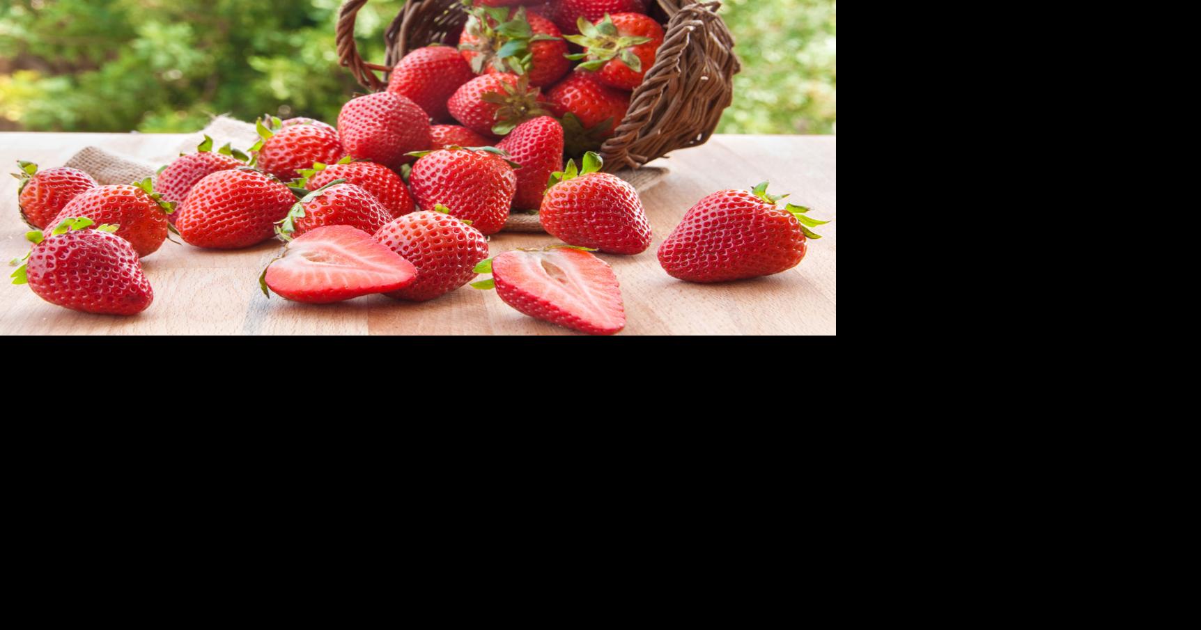 Hartford Strawberry Festival returns this weekend after year off