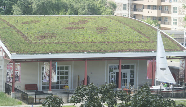 Curious Kids' living roof to get its own sign