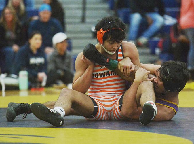 Constantine tops St. Joseph, Lakeshore to win Greater Berrien County ...