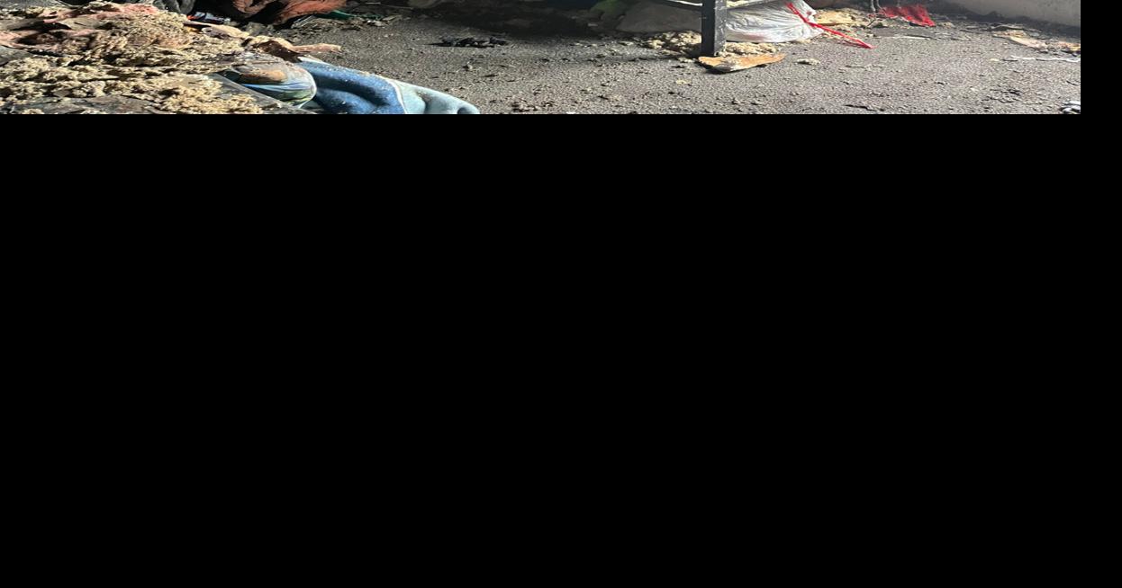 Watervliet family 'loses everything' in house fire Watervliet