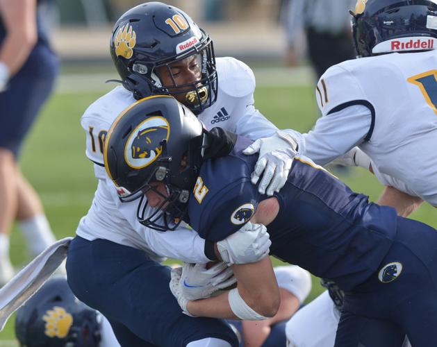 St. Joseph falls to defending champion DeWitt in D3 football semifinals