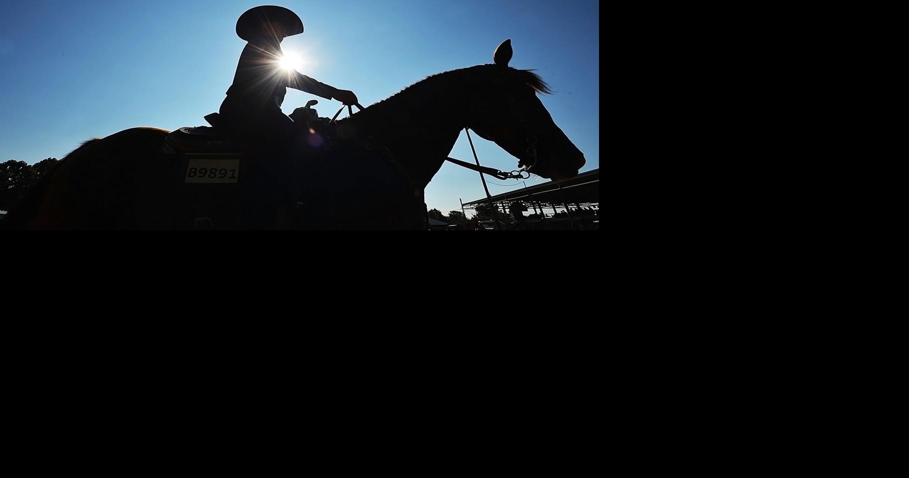 Berrien County Youth Fair results