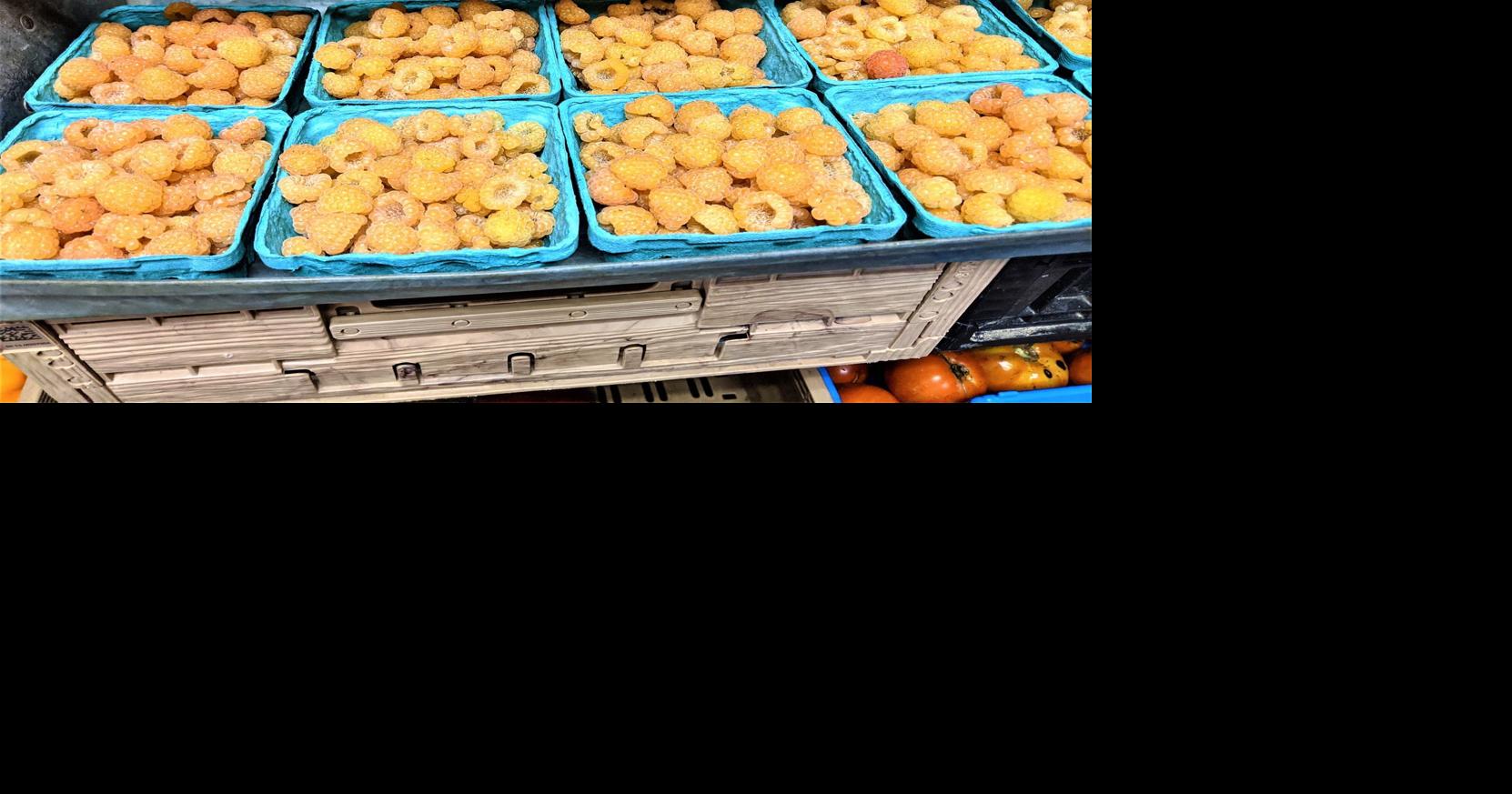 Get your golden raspberries now | Features | heraldpalladium.com