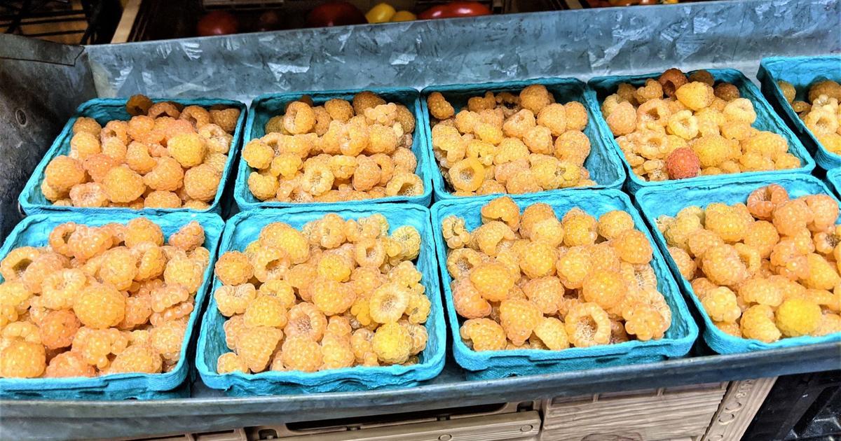 Golden Raspberry Candy Get your golden raspberries now | Features | heraldpalladium.com