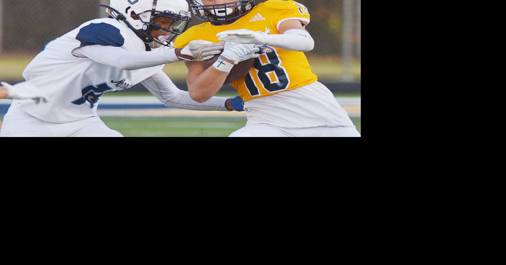 Bears excel from top to bottom in win over Loy Norrix | Sports ...
