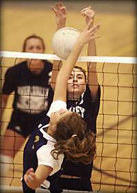 River Valley s Jami Grandholm blocks a tip by Niles Michelle