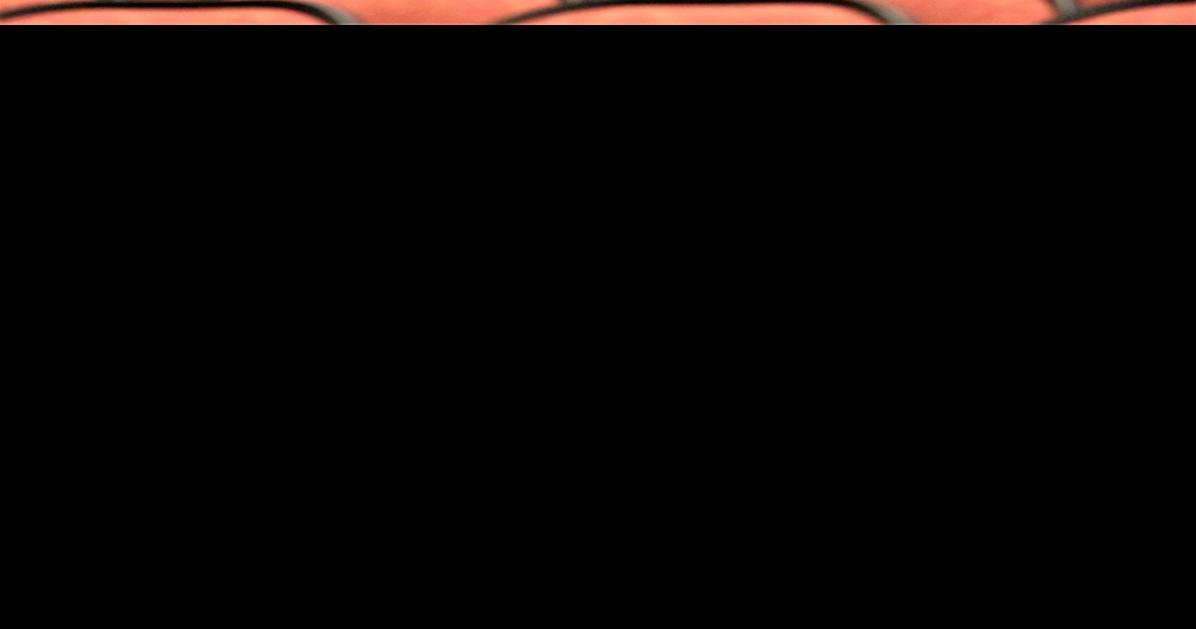 Lakeshore schools to focus on students' safety Stevensville