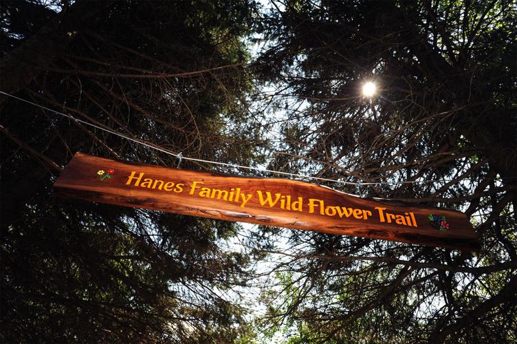St Joseph Lincoln Senior Center adds to walking trail News