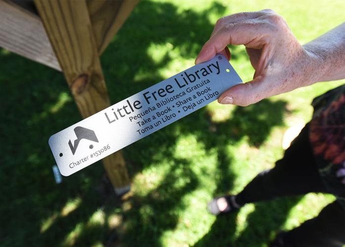 Little Free Libraries debut in Coloma area Coloma