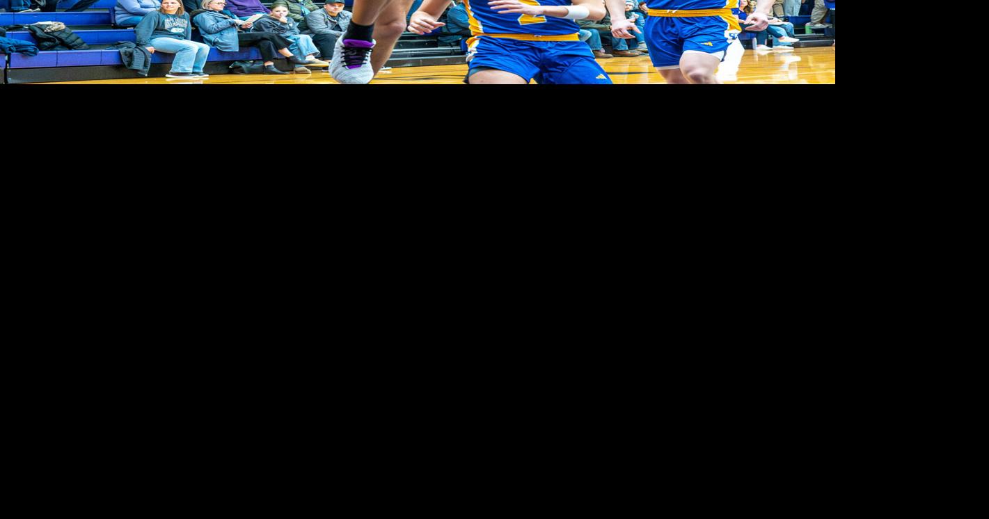 Michigan Lutheran boys edge Our Lady of the Lake to win BCS title; Titans also win girls game