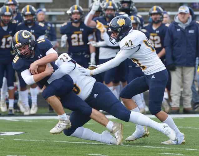 St. Joseph falls to defending champion DeWitt in D3 football semifinals
