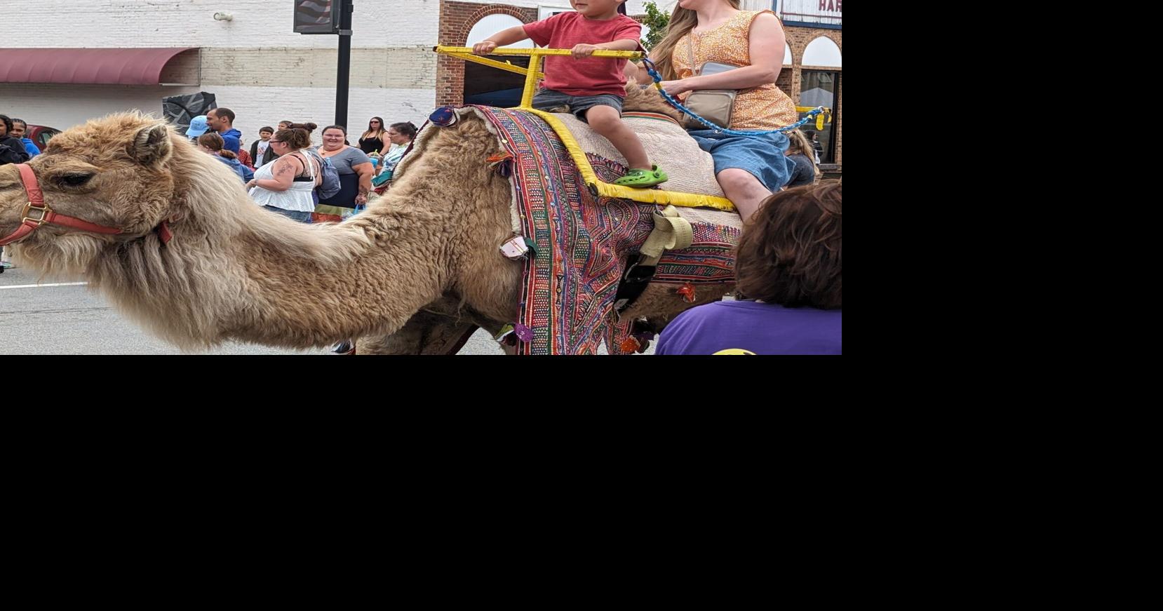 Cassopolis Main Street announces slate of 2026 events