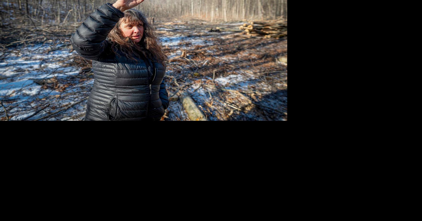 Groups take opposite stands on Green Mountain National Forest logging in Vermont