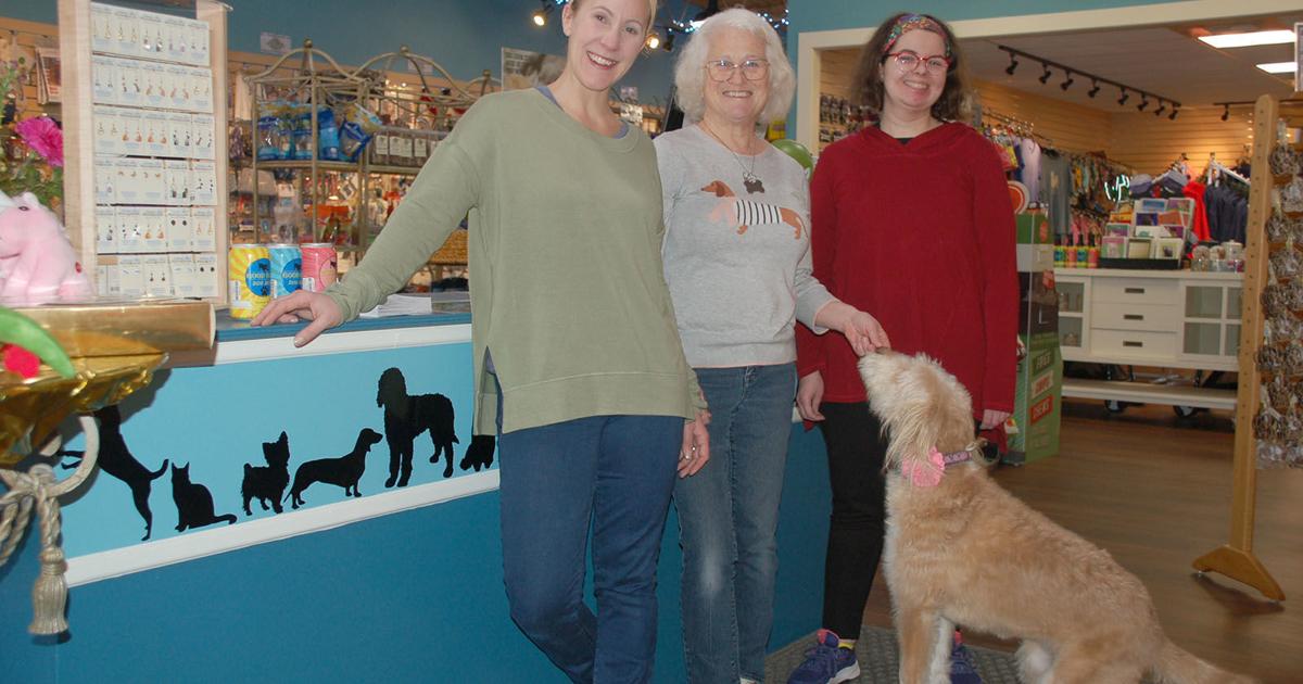 Unique dog boutique still going strong in South Haven | Localnews Unique dog boutique still going strong in South Haven | Localnews