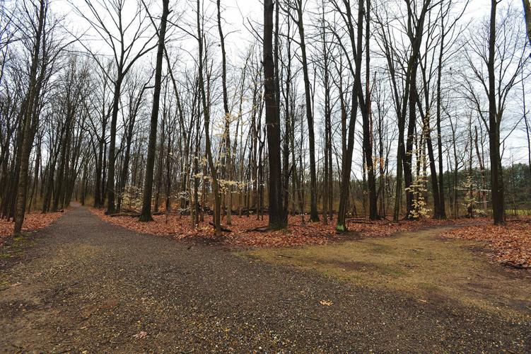 Range Line Park to get disc golf course Berrien Springs