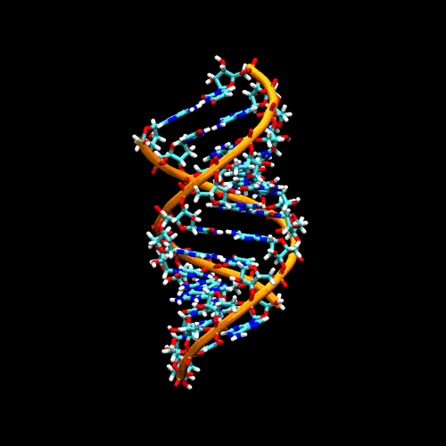 New catalog maps all 239 RNA viruses known to infect humans | Health ...