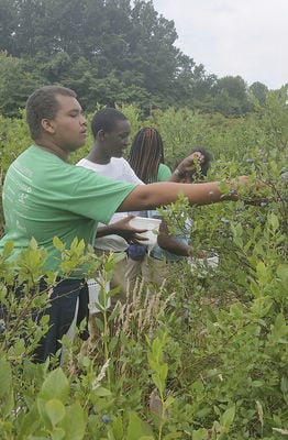 Bringing the city to agriculture