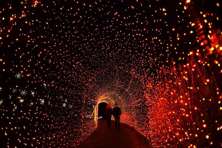 Lights at Fernwood to retun for third year with new attractions