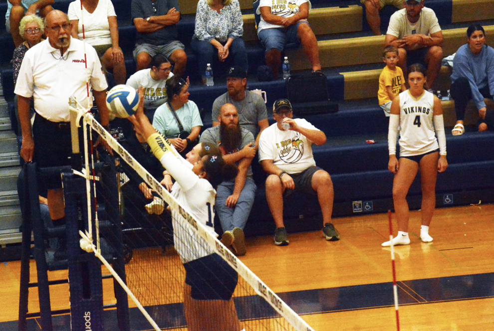 Niles volleyball sweeps Paw Paw