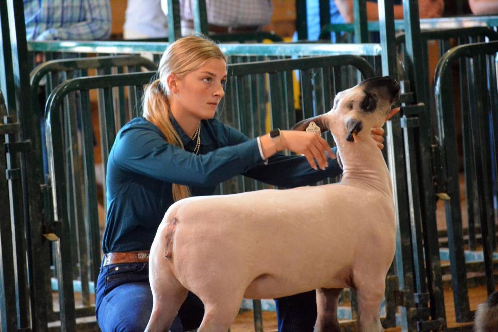 Cass County Fair celebrates 175 years