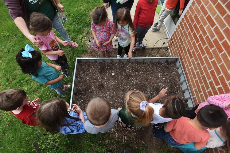 Coloma Elementary School students learn to garden for Earth Day Coloma