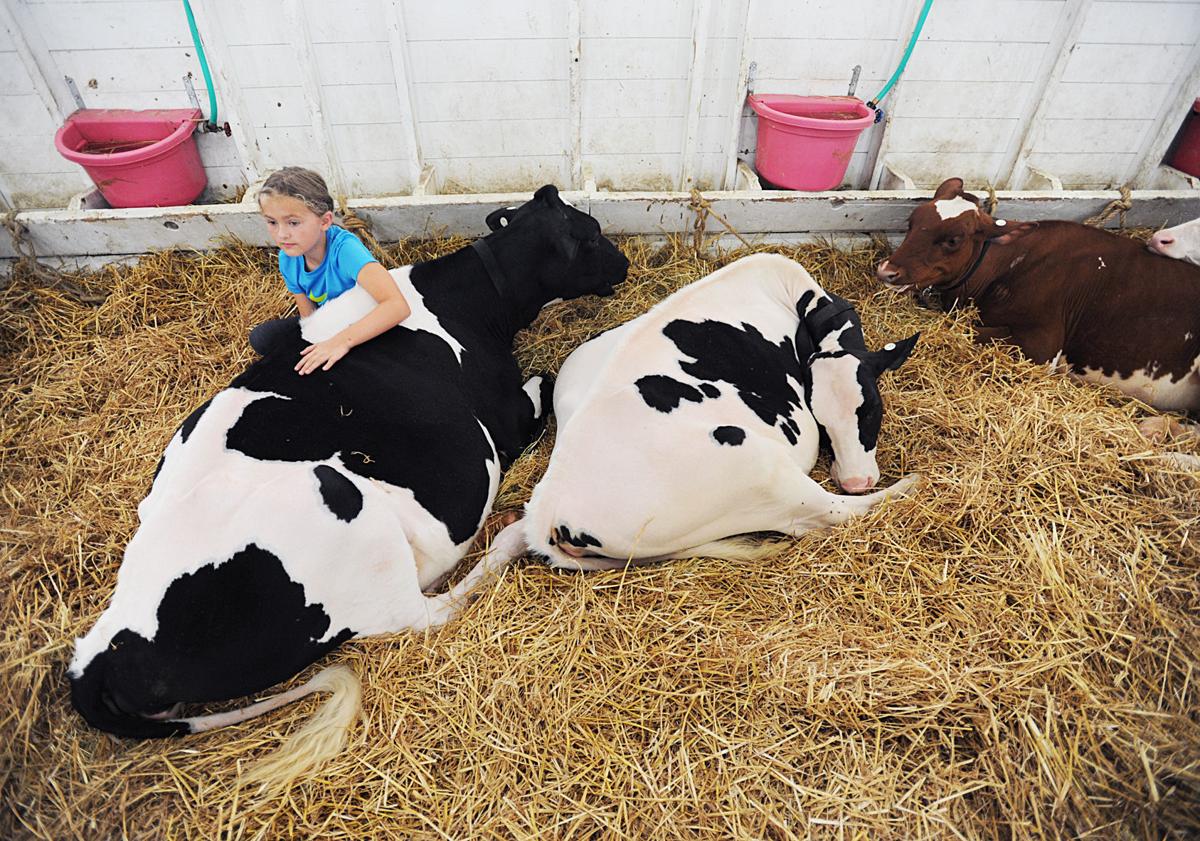 Berrien County Fair 2022