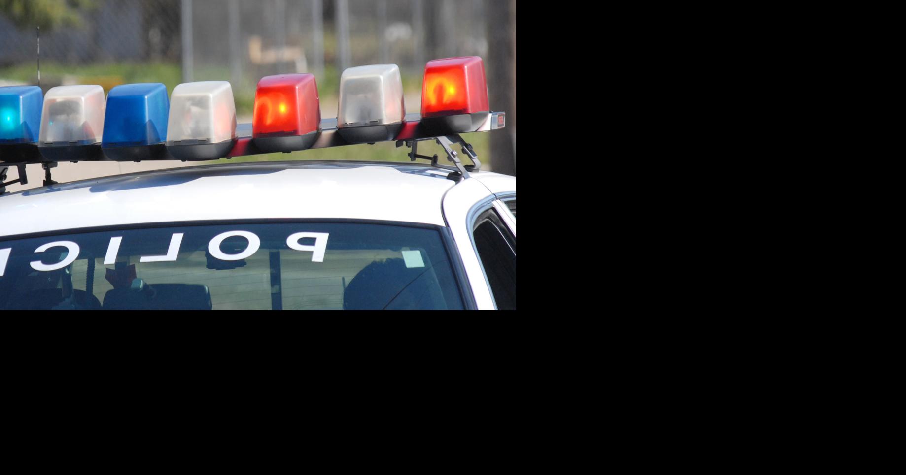 Suspect in custody, firearm seized in Lincoln Township fight