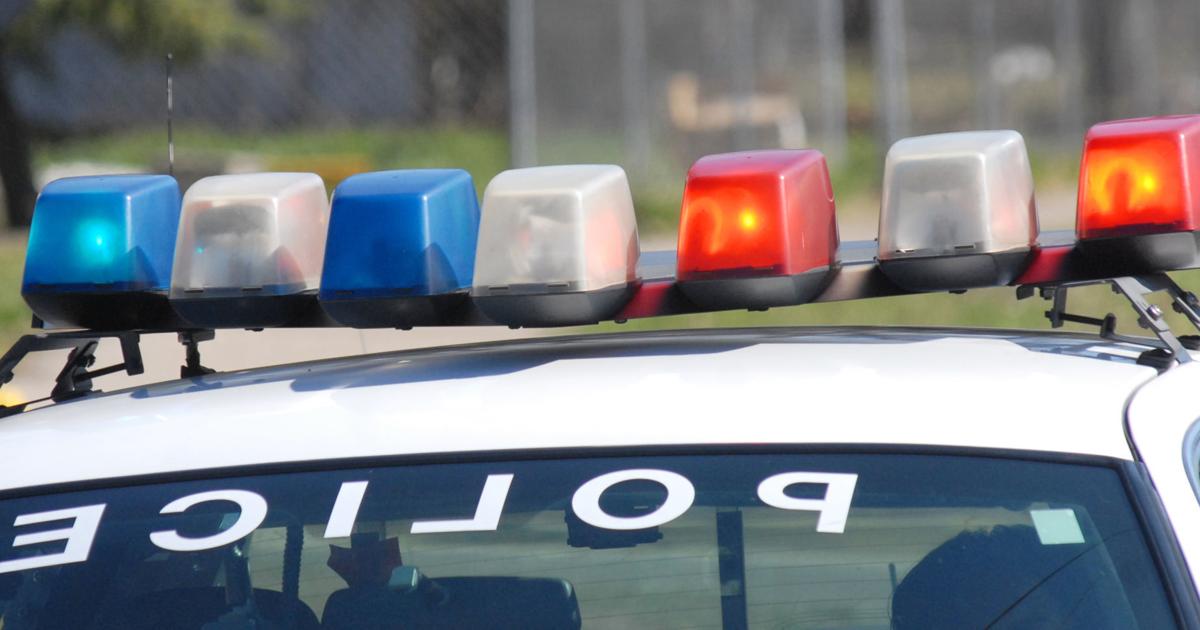 Suspect in custody, firearm seized in Lincoln Township fight