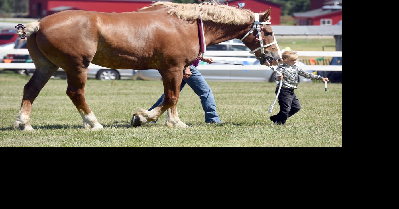 Van Buren Youth Fair returns next week, full tilt Hartford