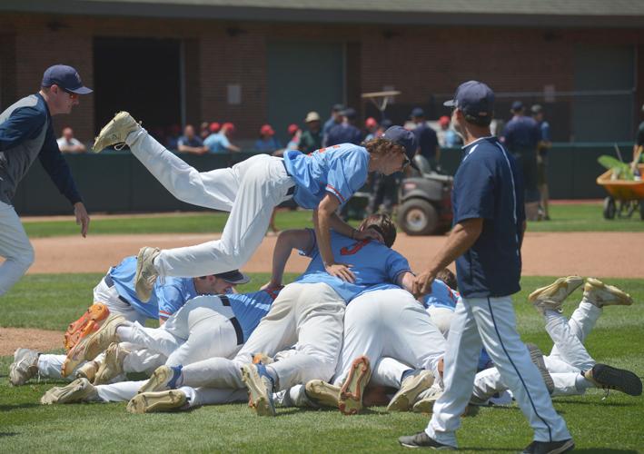 Bridgman stuns top-ranked Algonac to win Division 3 state baseball ...
