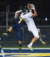 St. Joseph falls to Zeeland West in district championship football game