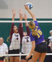 Watervliet falls to Kalamazoo Christian in attempt for 2nd straight regional volleyball title