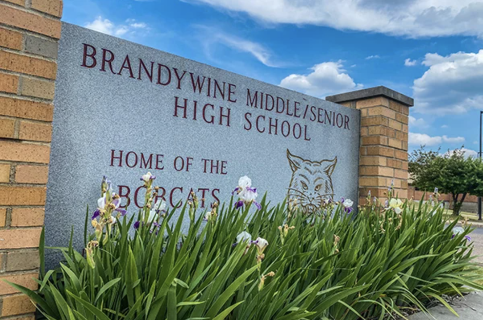 Brandywine school board approves leadership changes