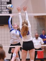 River Valley holds off Michigan Lutheran in district volleyball semi; Our Lady tops New Buffalo