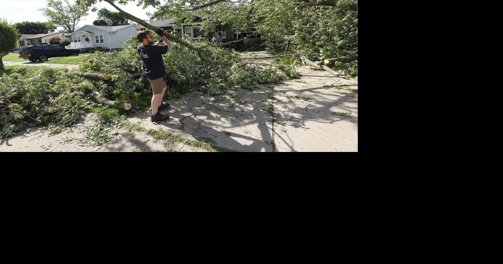 Strong winds take down trees, wreak havoc in St. Joseph | News ...
